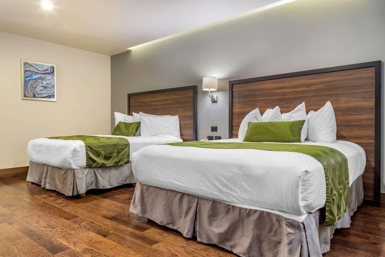 Quality Inn Chihuahua San Francisco Екстериор снимка